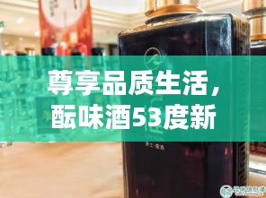 尊享品质生活,酝味酒53度新体验——科技美学下的品质享受