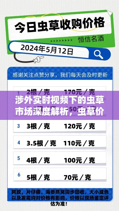涉外实时视频下的虫草市场深度解析,虫草价格揭秘
