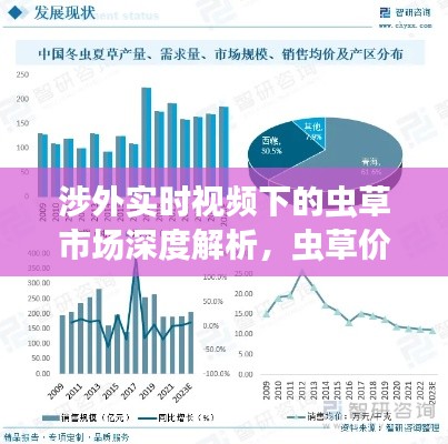 涉外实时视频下的虫草市场深度解析,虫草价格揭秘