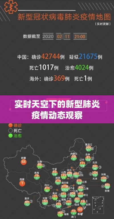 实时天空下的新型肺炎疫情动态观察