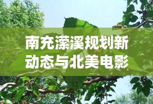 南充潆溪规划新动态与北美电影票房实时追踪，文化与发展的对话