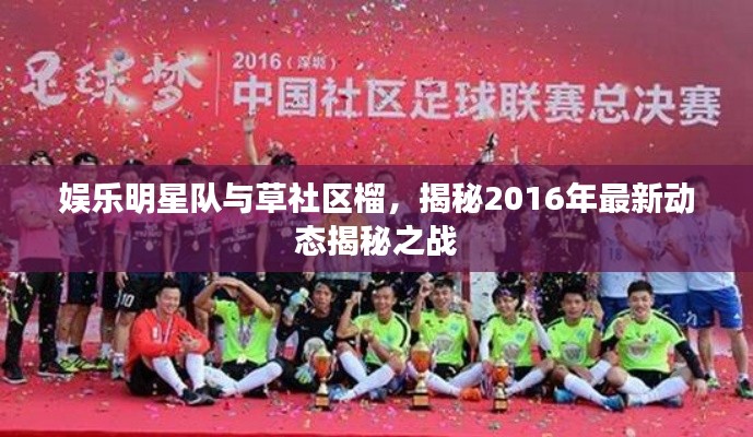 娱乐明星队与草社区榴,揭秘2016年最新动态揭秘之战