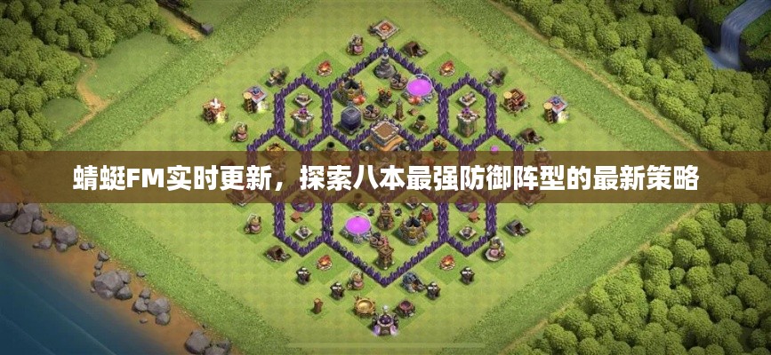 蜻蜓FM实时更新,探索八本最强防御阵型的最新策略