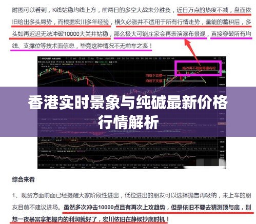 香港实时景象与纯碱最新价格行情解析