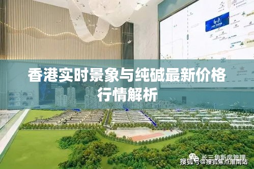 香港实时景象与纯碱最新价格行情解析