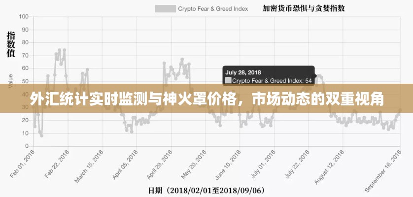 外汇统计实时监测与神火罩价格,市场动态的双重视角