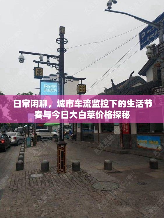 日常闲聊,城市车流监控下的生活节奏与今日大白菜价格探秘