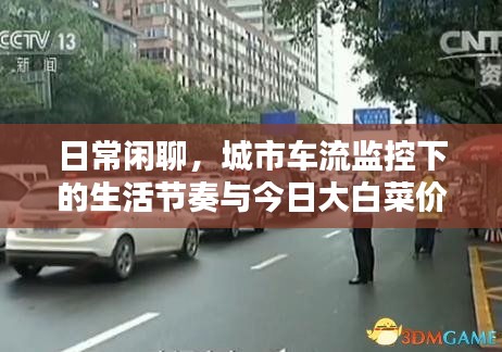 日常闲聊,城市车流监控下的生活节奏与今日大白菜价格探秘
