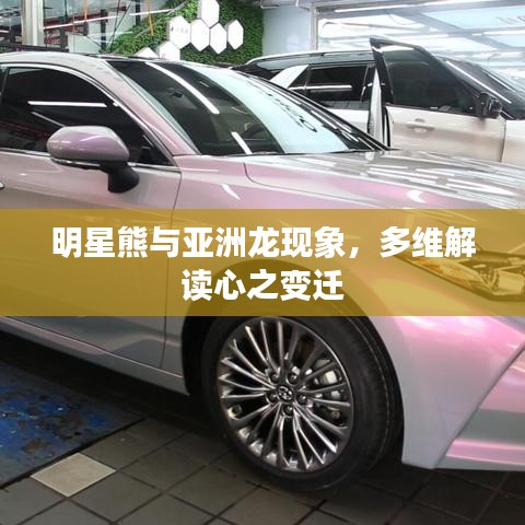 明星熊与亚洲龙现象,多维解读心之变迁