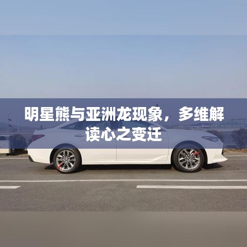 明星熊与亚洲龙现象,多维解读心之变迁