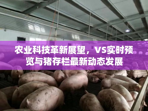 农业科技革新展望,VS实时预览与猪存栏最新动态发展