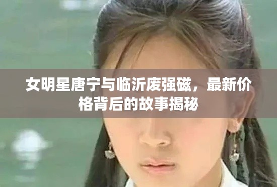 女明星唐宁与临沂废强磁,最新价格背后的故事揭秘