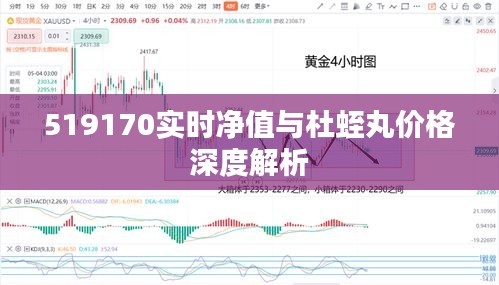 519170实时净值与杜蛭丸价格深度解析