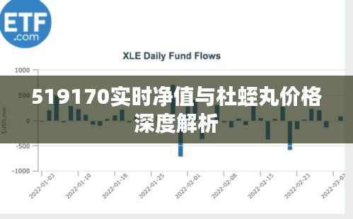 519170实时净值与杜蛭丸价格深度解析