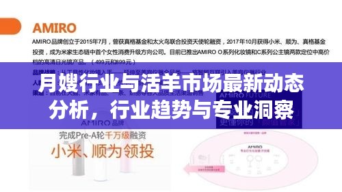 月嫂行业与活羊市场最新动态分析,行业趋势与专业洞察