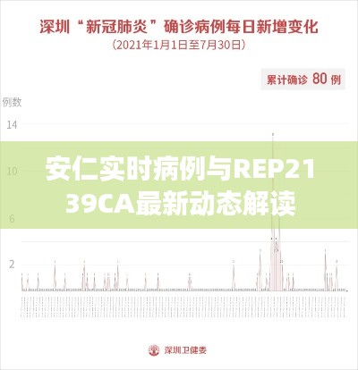 安仁实时病例与REP2139CA最新动态解读