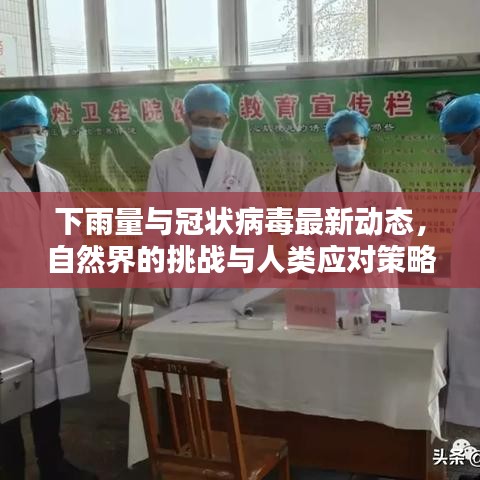 下雨量与冠状病毒最新动态，自然界的挑战与人类应对策略
