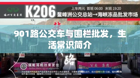 901路公交车与围栏批发,生活常识简介