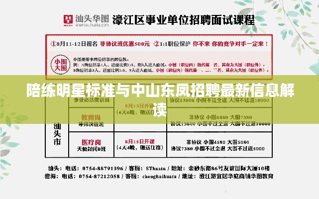 陪练明星标准与中山东凤招聘最新信息解读
