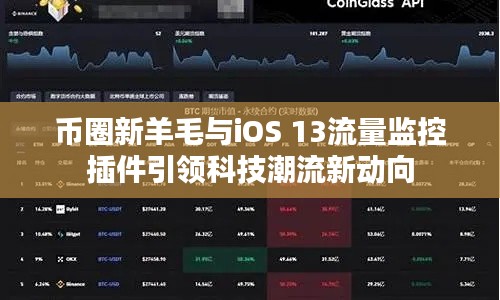 币圈新羊毛与iOS 13流量监控插件引领科技潮流新动向
