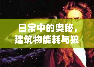 日常中的奥秘,建筑物能耗与狼人眼镜探秘