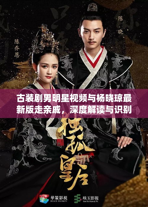 古装剧男明星视频与杨晓琼最新版走亲戚,深度解读与识别策略
