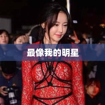 最像我的明星