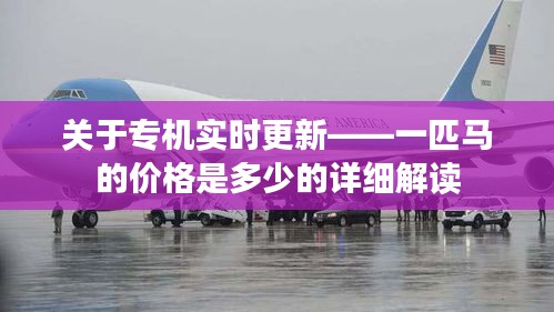 关于专机实时更新——一匹马的价格是多少的详细解读