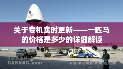 关于专机实时更新——一匹马的价格是多少的详细解读