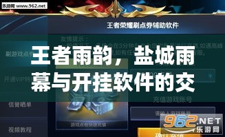 王者雨韵，盐城雨幕与开挂软件的交响乐章