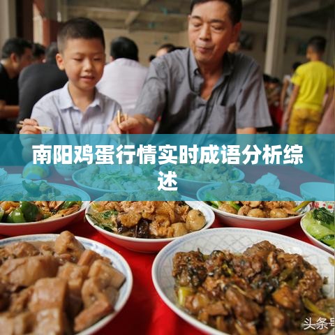 南阳鸡蛋行情实时成语分析综述