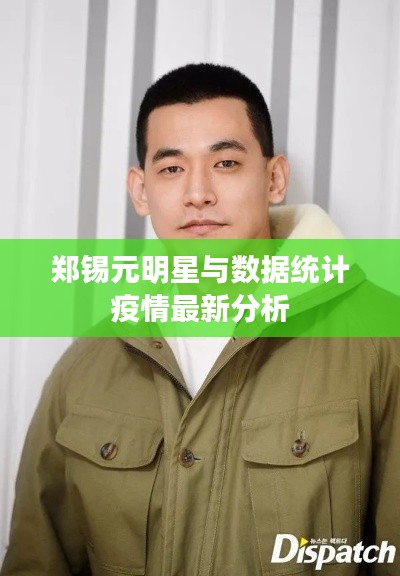 郑锡元明星与数据统计疫情最新分析