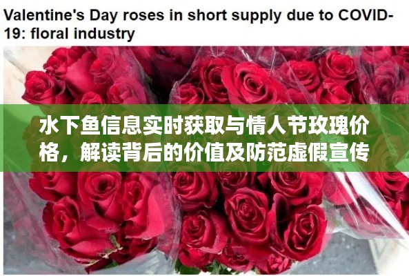 水下鱼信息实时获取与情人节玫瑰价格，解读背后的价值及防范虚假宣传