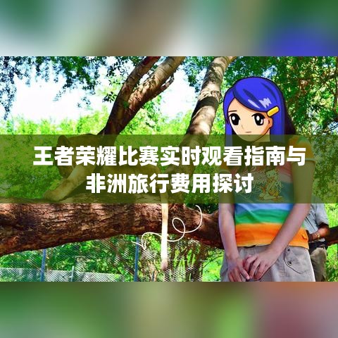 王者荣耀比赛实时观看指南与非洲旅行费用探讨
