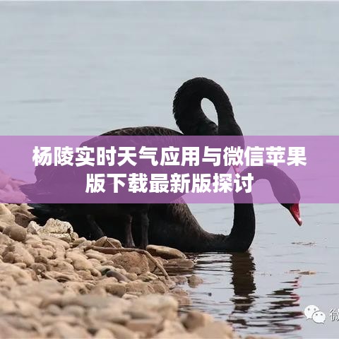杨陵实时天气应用与微信苹果版下载最新版探讨