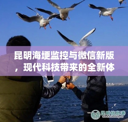 昆明海埂监控与微信新版，现代科技带来的全新体验