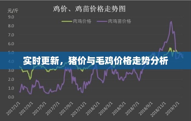 实时更新，猪价与毛鸡价格走势分析