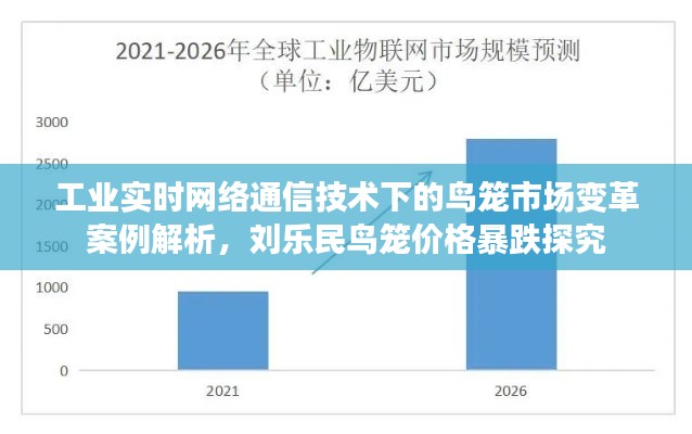 工业实时网络通信技术下的鸟笼市场变革案例解析，刘乐民鸟笼价格暴跌探究