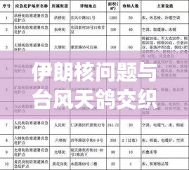伊朗核问题与台风天鸽交织，最新动态与实时分析报告