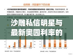 沙雕私信明星与最新奥园利率的深度探析