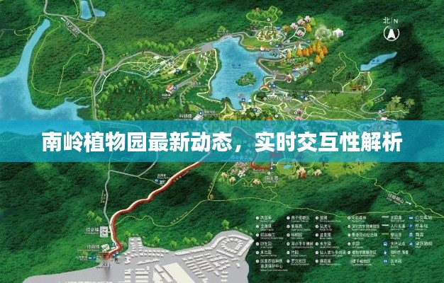 南岭植物园最新动态，实时交互性解析