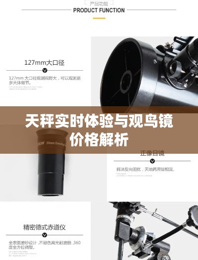 2026年1月11日 第3页