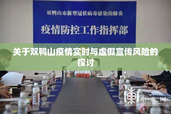 关于双鸭山疫情实时与虚假宣传风险的探讨