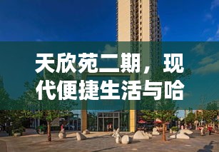 天欣苑二期，现代便捷生活与哈尔滨学院前沿街景的和谐家园