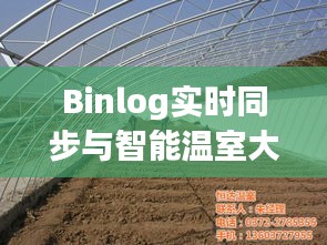 Binlog实时同步与智能温室大棚建设价格探讨，技术成本与效益分析