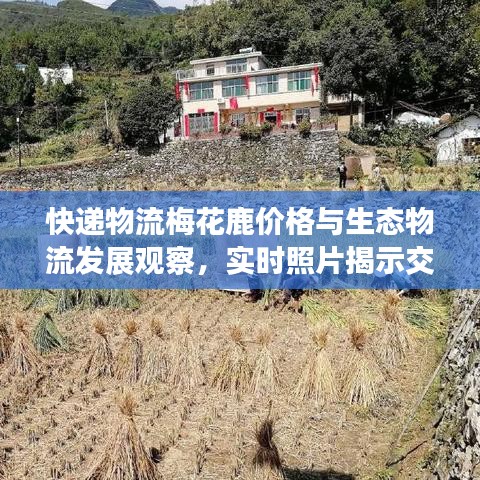 2026年1月12日 第3页