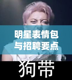 明星表情包与招聘要点概览