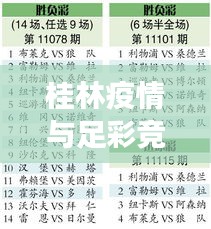 桂林疫情与足彩竞猜实时动态，社会观察者的深度洞察与反思