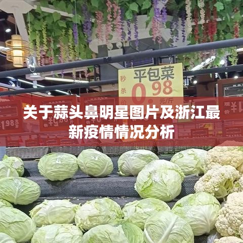 关于蒜头鼻明星图片及浙江最新疫情情况分析