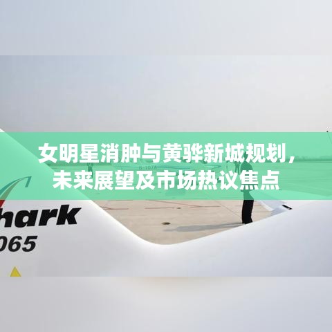 女明星消肿与黄骅新城规划，未来展望及市场热议焦点